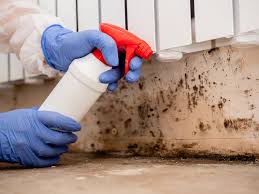 Mold Remediation for Vacation Homes in Maricopa, AZ